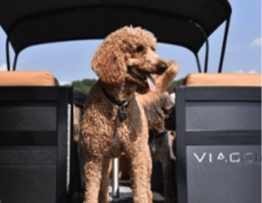 2 Showroom Gallery Image